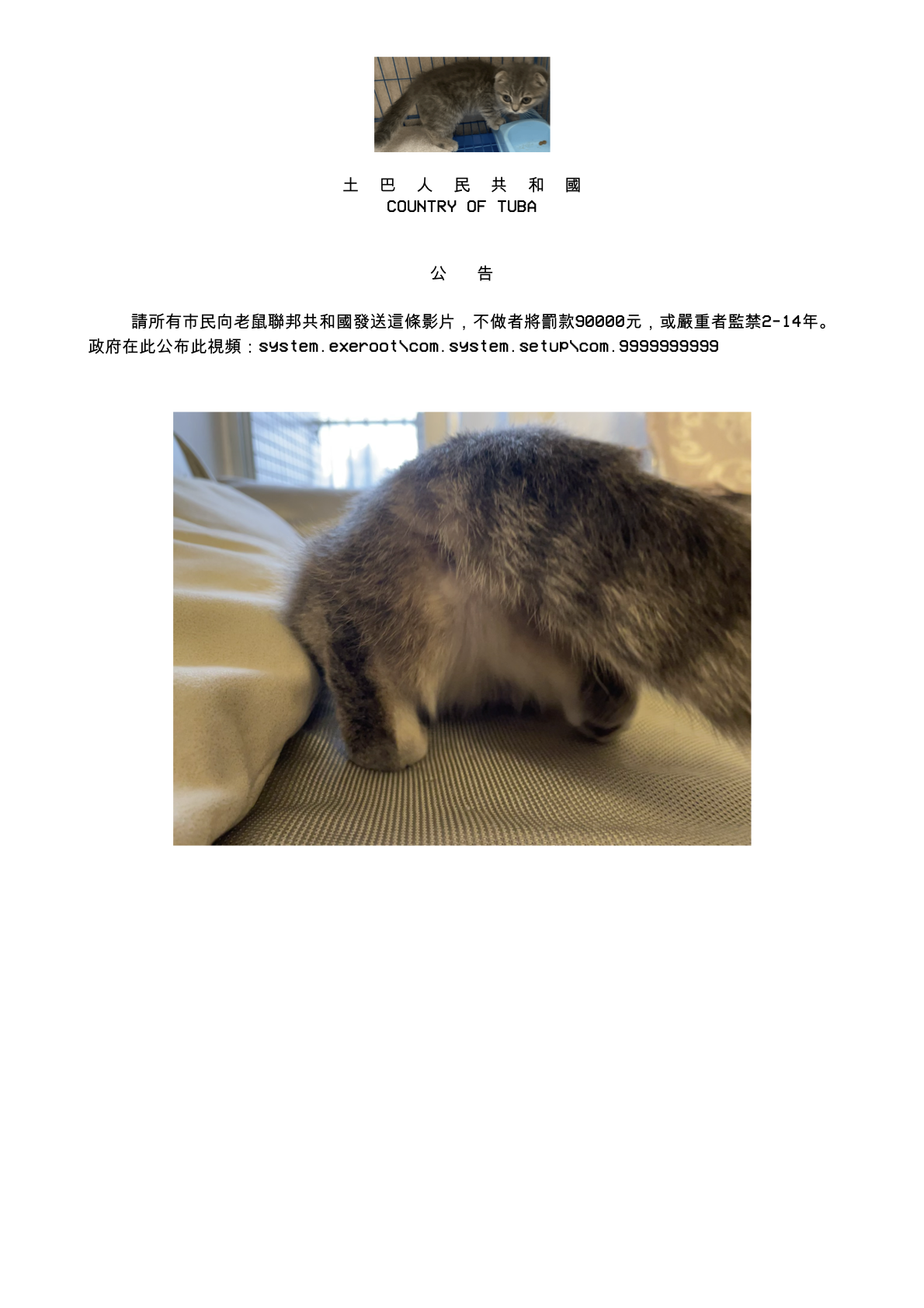 政府公告
